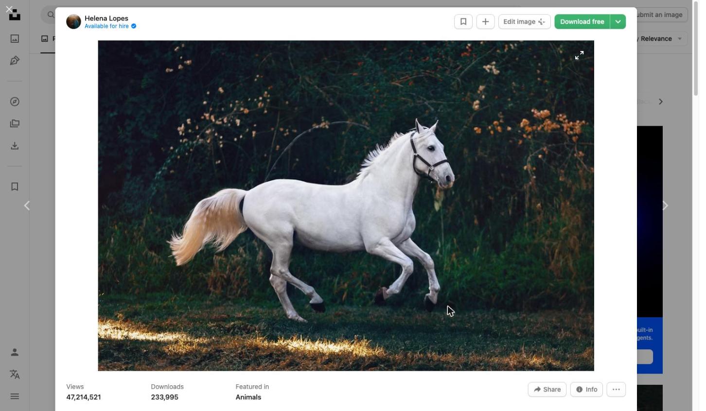 Horse